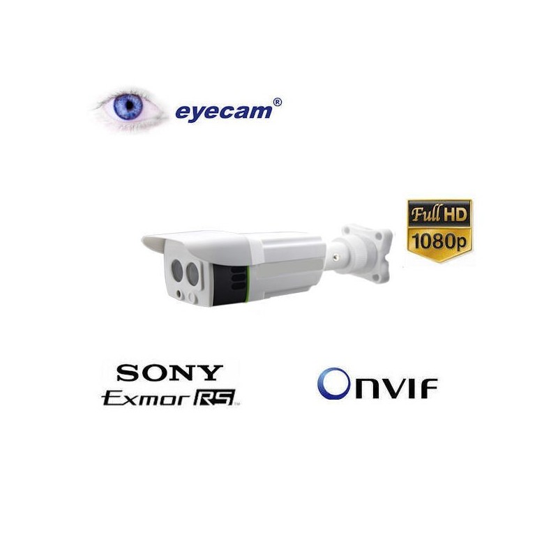 EyecamCamera IP full HD 1080P 2.4MP cu inregistrare pe tf card Eyecam EC-1205