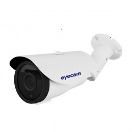 Camere Supraveghere Camera supraveghere IP exterior Eyecam EC-1374 1080P Eyecam