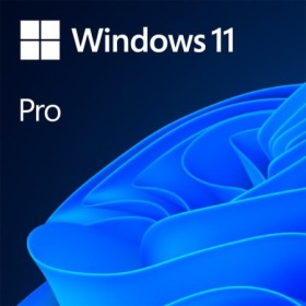 Windows 11 Professional 64Bit English Intl 1pk DSP OEI DVD FQC-1052...