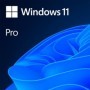 Windows 11 Professional 64Bit English Intl 1pk DSP OEI DVD FQC-1052...